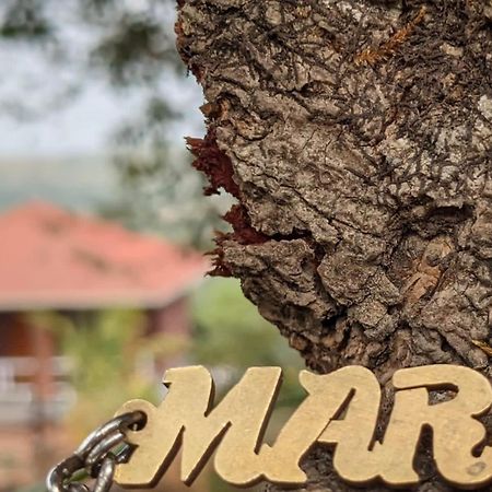Villa Mars Jungle Adventure Stud Farm With Private Jacuzzi Narsinge Exterior foto
