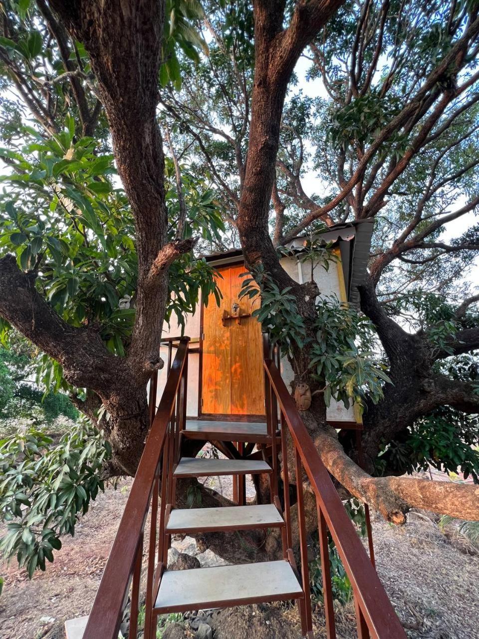Villa Mars Jungle Adventure Stud Farm With Private Jacuzzi Narsinge Zimmer foto
